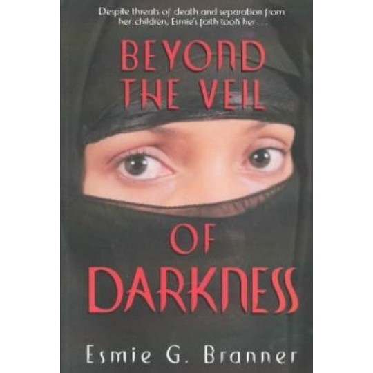 Beyond the Veil of Darkness 