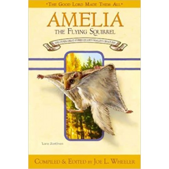 Amelia the Flying Squirrel