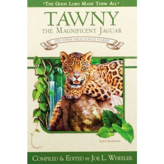 Tawny the Magnificent Jaguar