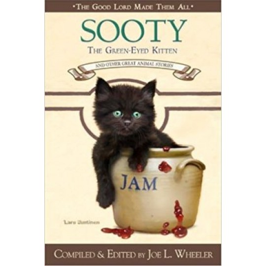 Sooty, the Green-Eyed Kitten