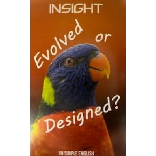 Evolved or Designed? - ATSIM Insight Tract (100 PACK)